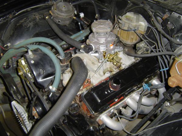 IMPCO 425 Propane Conversion Kit on Chevy 350 Engine